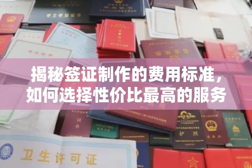 洱源揭秘签证制作的费用标准，如何选择性价比最高的服务？