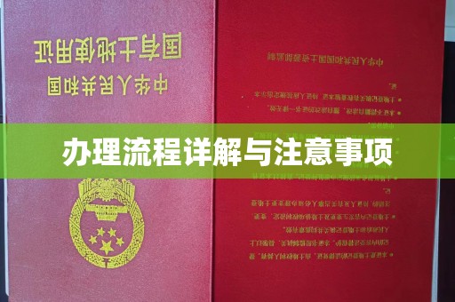 洱源办理流程详解与注意事项